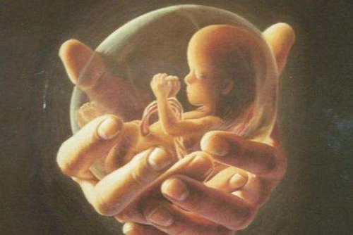 给孩子一次生命机会 请勿堕胎！